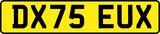 DX75EUX