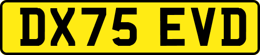 DX75EVD