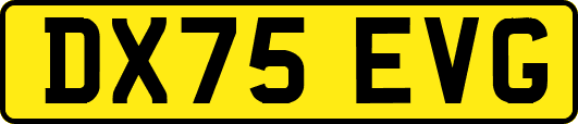 DX75EVG