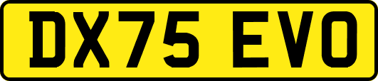 DX75EVO