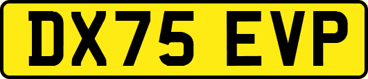 DX75EVP