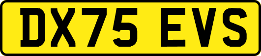 DX75EVS