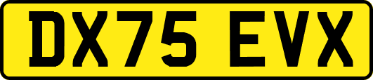 DX75EVX