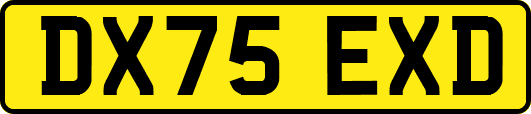 DX75EXD