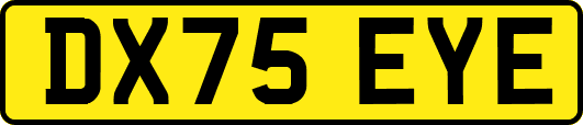 DX75EYE
