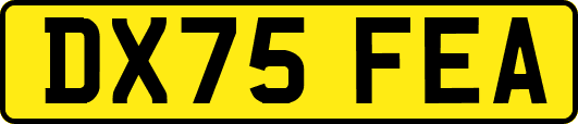 DX75FEA