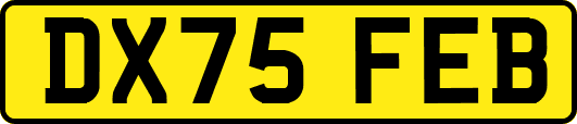 DX75FEB