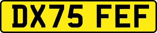 DX75FEF