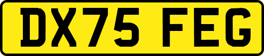 DX75FEG