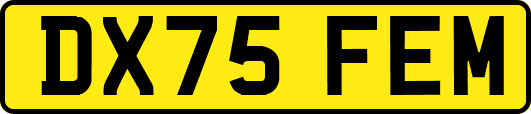 DX75FEM