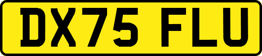 DX75FLU