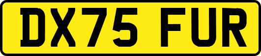 DX75FUR