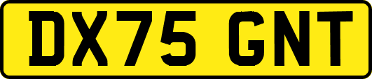 DX75GNT