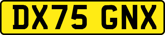 DX75GNX