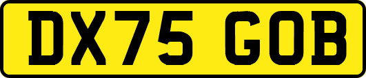 DX75GOB