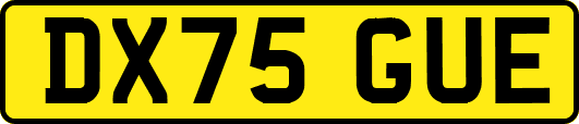 DX75GUE