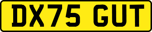 DX75GUT