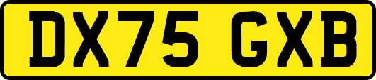 DX75GXB