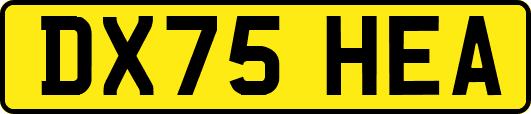 DX75HEA