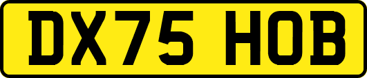 DX75HOB