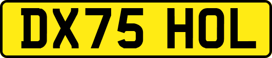 DX75HOL