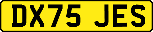 DX75JES