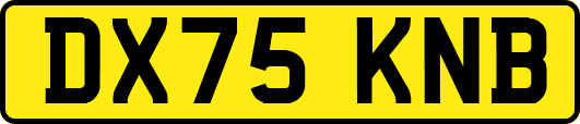 DX75KNB