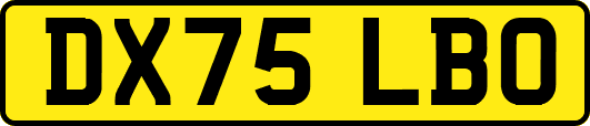 DX75LBO