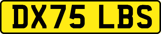 DX75LBS