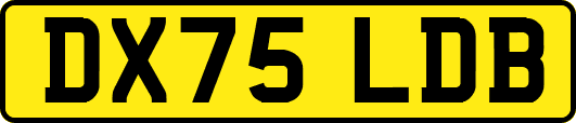 DX75LDB
