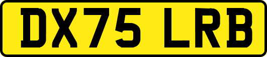 DX75LRB