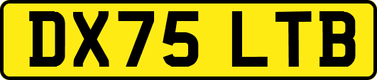 DX75LTB