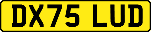 DX75LUD