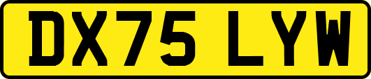 DX75LYW