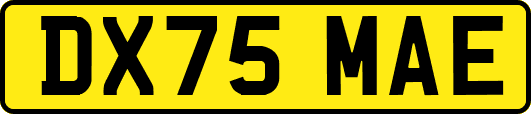 DX75MAE