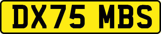 DX75MBS