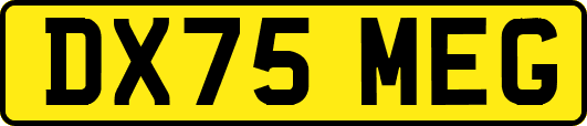 DX75MEG