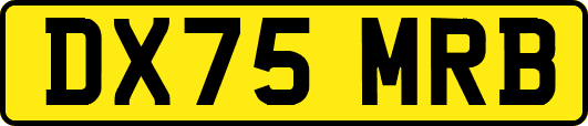 DX75MRB