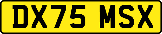 DX75MSX