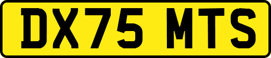 DX75MTS