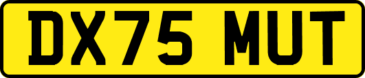 DX75MUT
