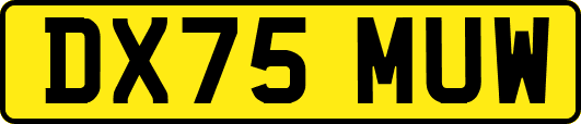 DX75MUW