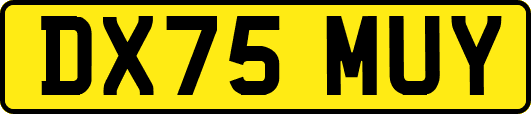 DX75MUY