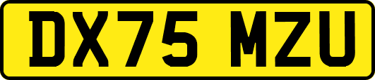DX75MZU