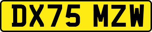 DX75MZW