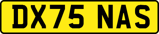DX75NAS