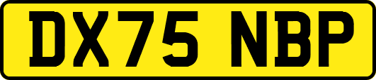 DX75NBP