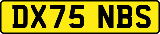 DX75NBS