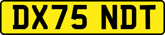 DX75NDT
