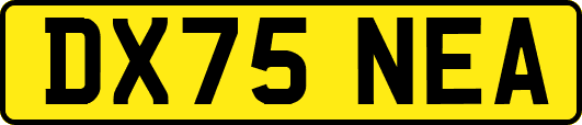 DX75NEA